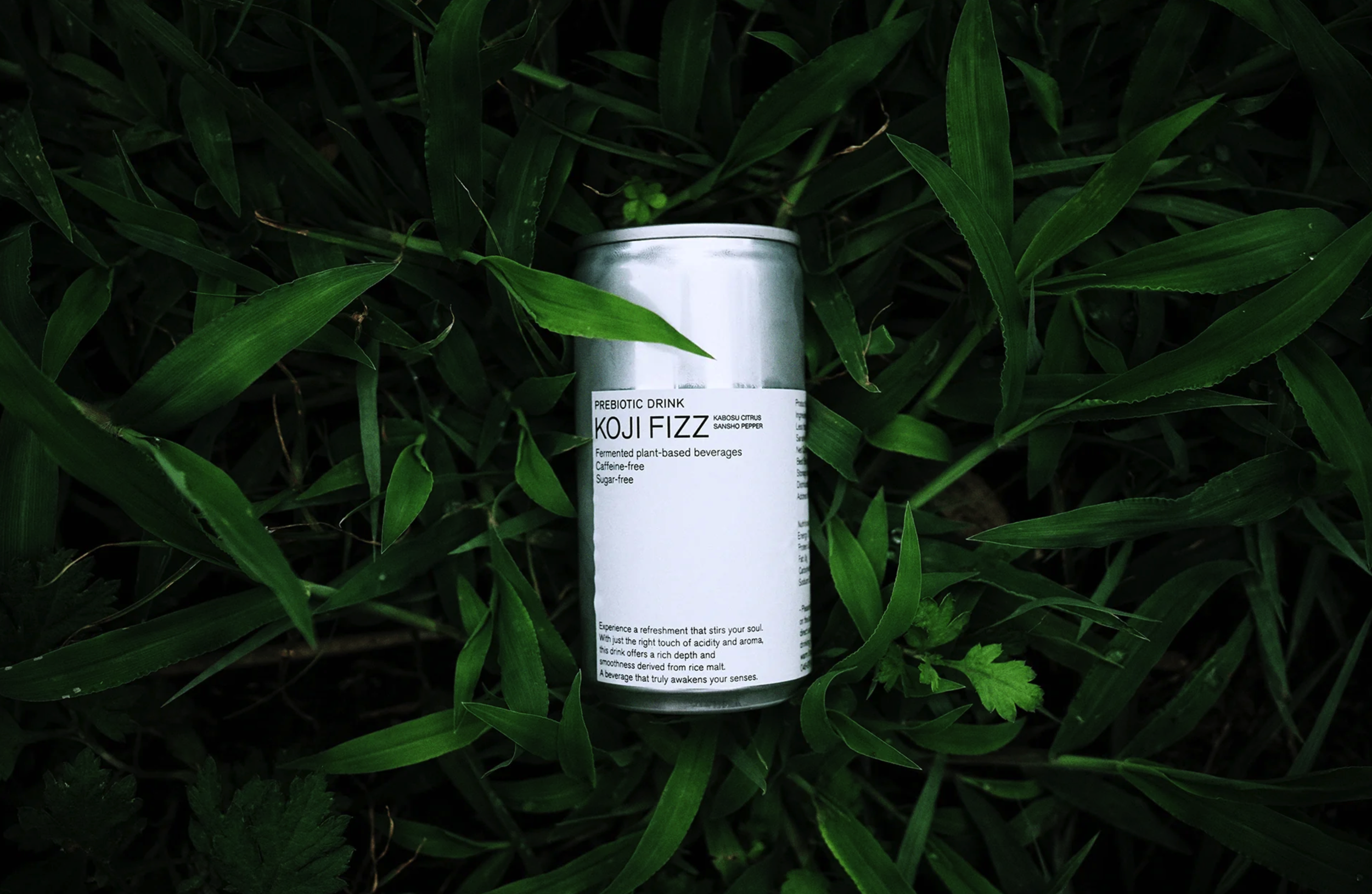 KOJI FIZZ Brand Promotion Hero
